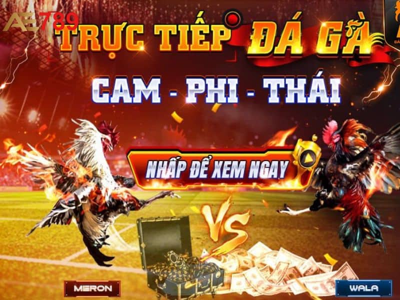 AE789 là sân chơi uy tín và chất lượng dành cho game thủ AE789 là sân chơi uy tín và chất lượng dành cho game thủ