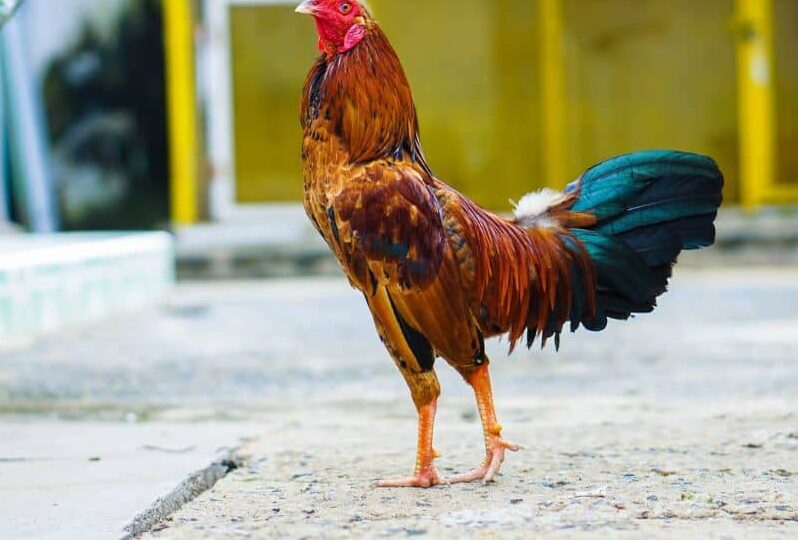 Chú ý đến liều lượng thuốc và thời gian sử dụng Chú ý đến liều lượng thuốc và thời gian sử dụng