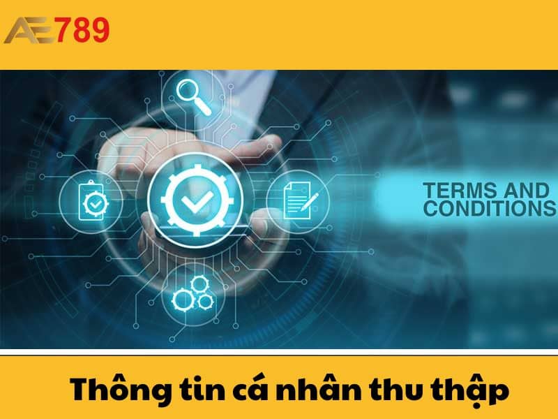 Thông tin của người chơi sẽ được nhà cái thu thập Thông tin của người chơi sẽ được nhà cái thu thập