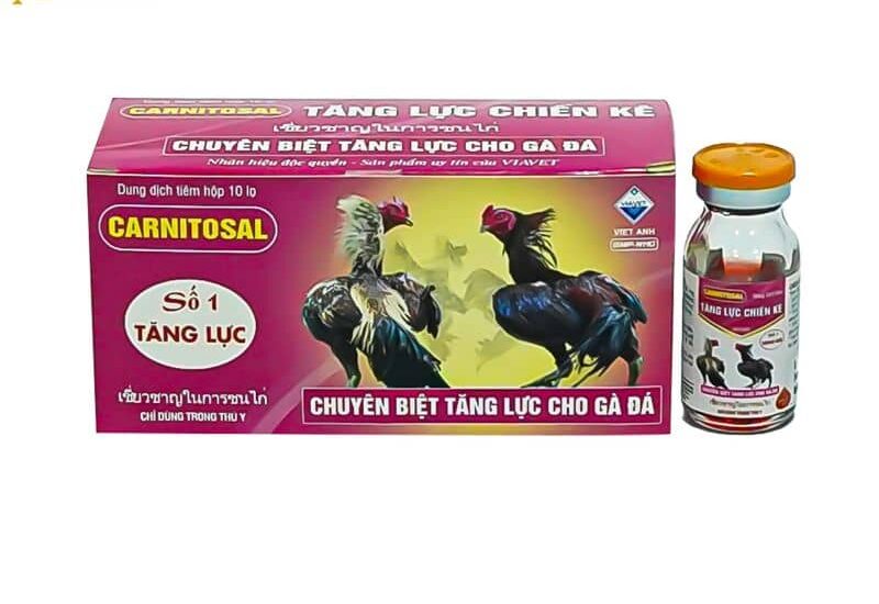 Thuốc tăng lực có vai trò giúp gà tỉnh táo Thuốc tăng lực có vai trò giúp gà tỉnh táo