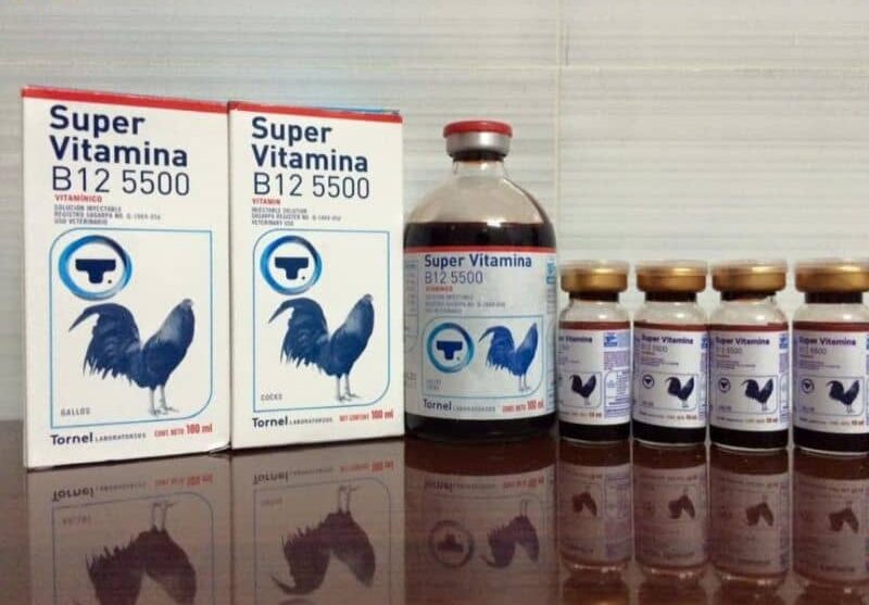 Vitamin tổng hợp bổ sung dưỡng chất Vitamin tổng hợp bổ sung dưỡng chất